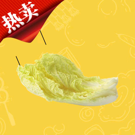 娃娃菜.png